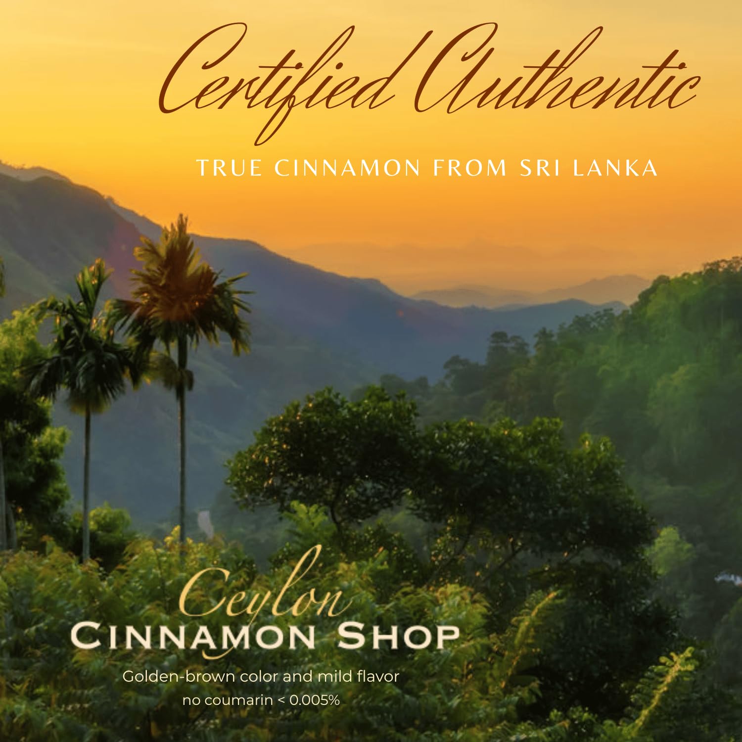 Ceylon Cinnamon Shop close-up of golden-brown ground cinnamon quality.