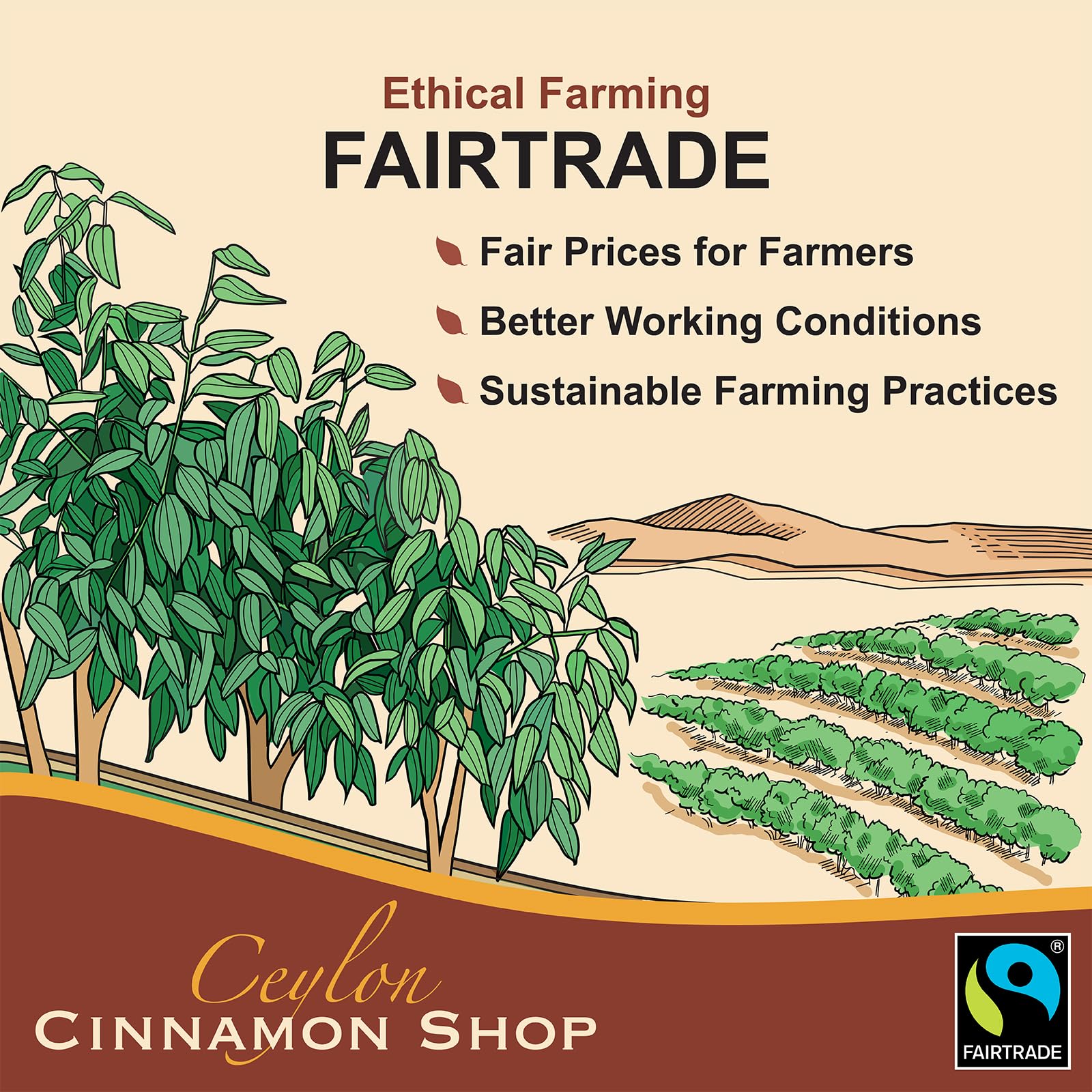 Ceylon Cinnamon Shop Fairtrade badge signals ethically sourced ingredient.
