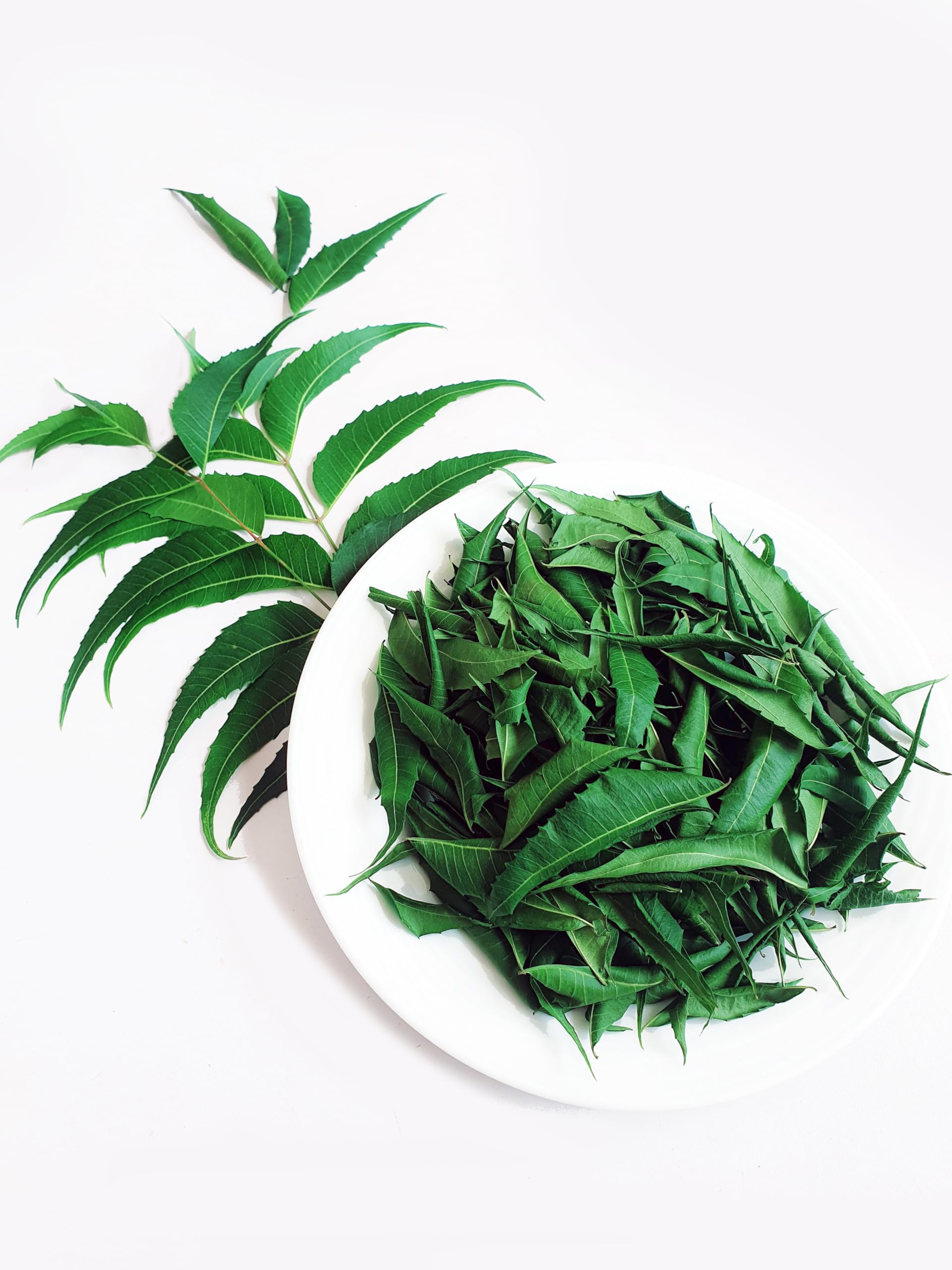 Close-up of dried neem leaves from Ceylon Rustic Savour for tea.
