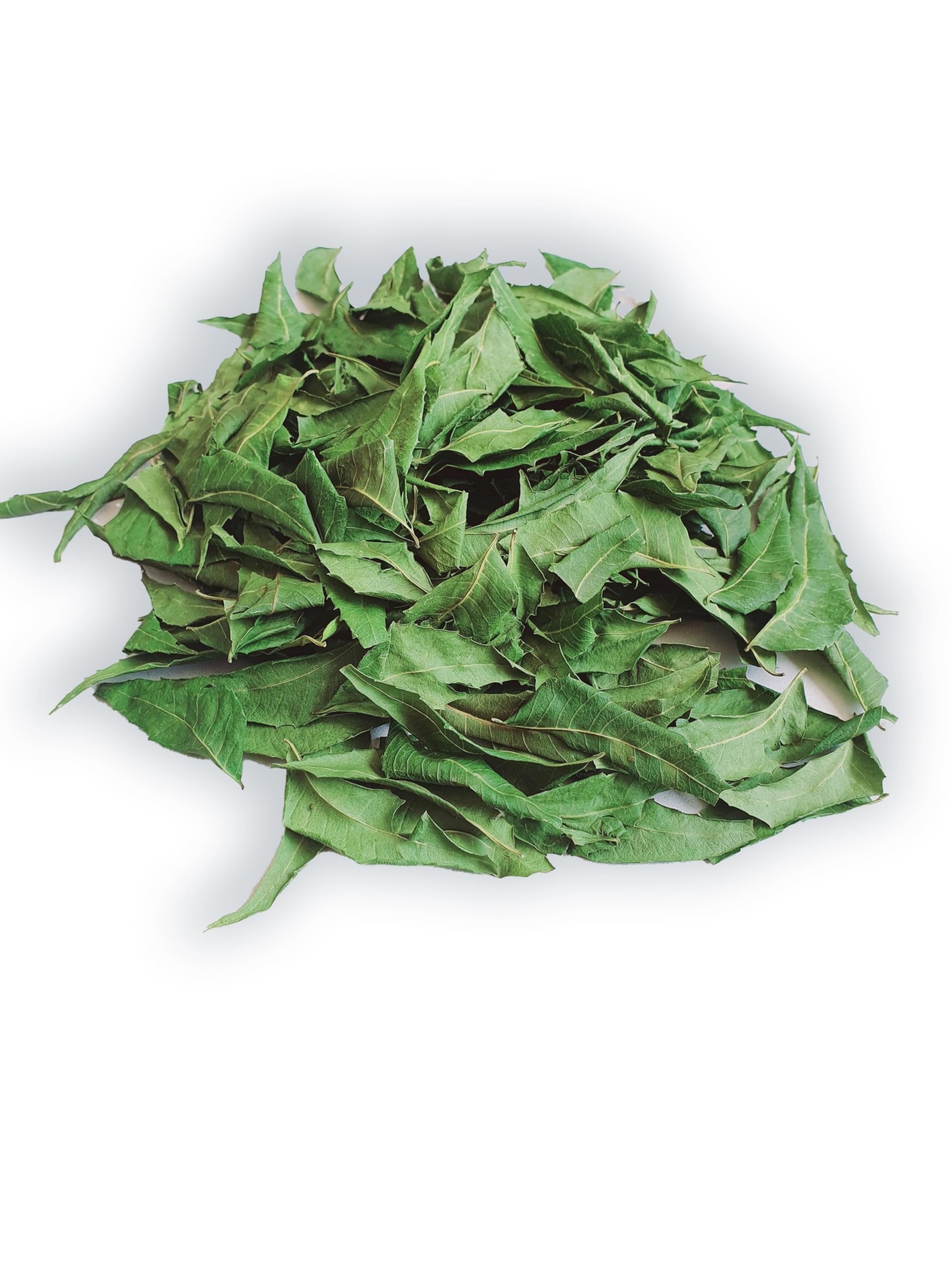 Brewing neem tea with Ceylon Rustic Savour offers a fragrant daily ritual.