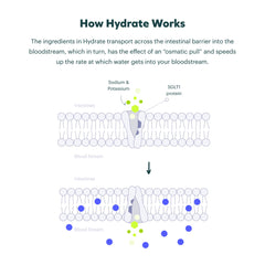 Cheers Classic Combo DHM and Cysteine pills highlighted for the blend
