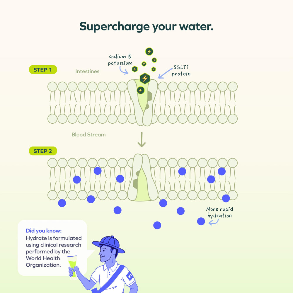 Cheers Hydrate dissolves in water for refreshing hydration.