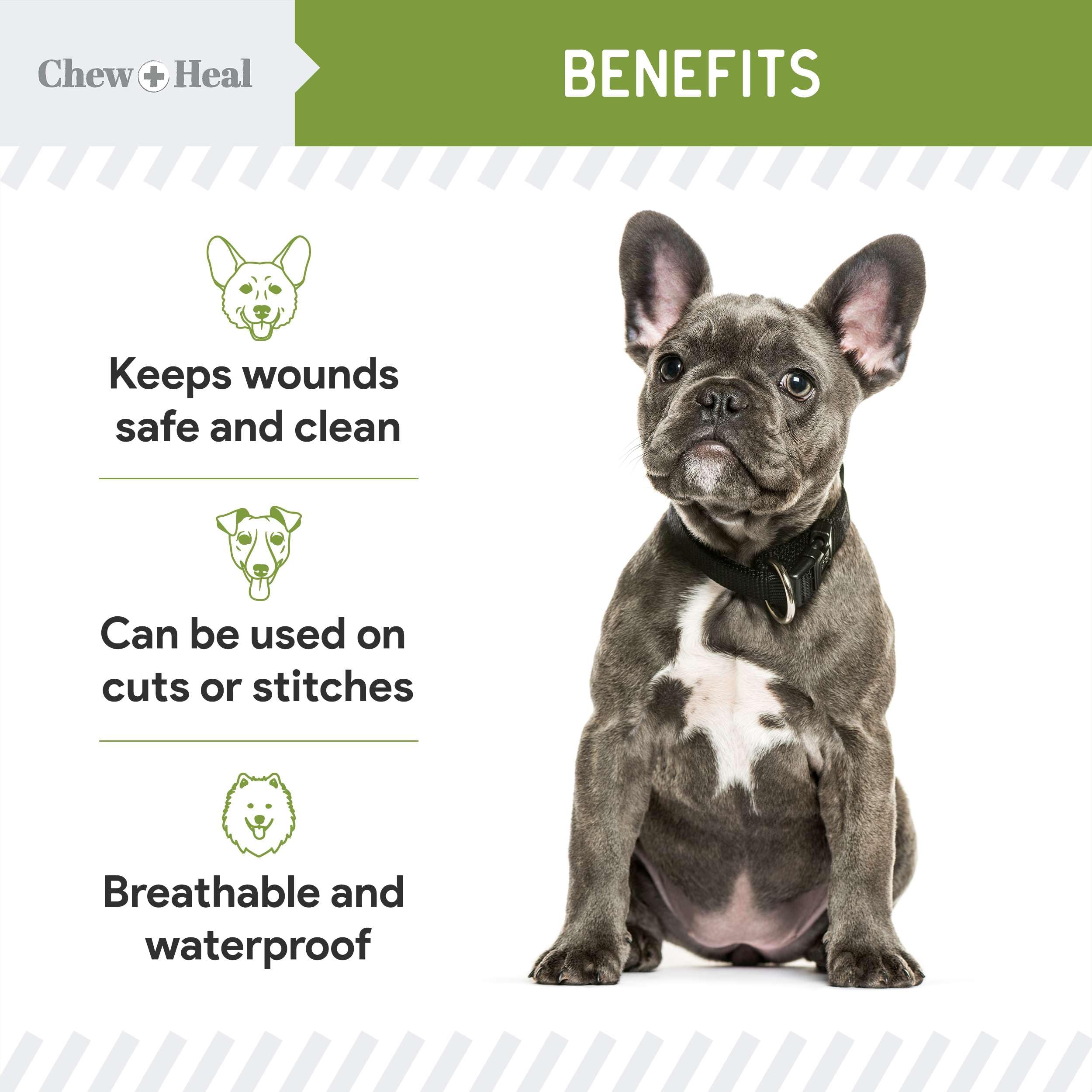 Chew + Heal Labs aloe-infused bandage spray for dogs protecting minor wounds.