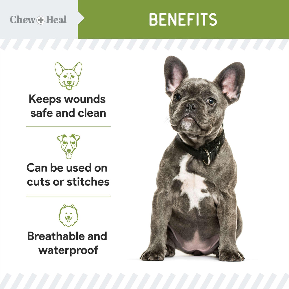 Chew + Heal Labs aloe-infused bandage spray for dogs protecting minor wounds.