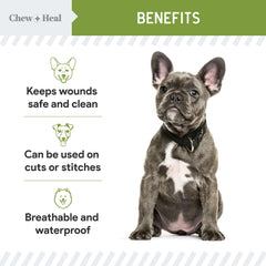 Chew + Heal Labs aloe-infused bandage spray for dogs protecting minor wounds.