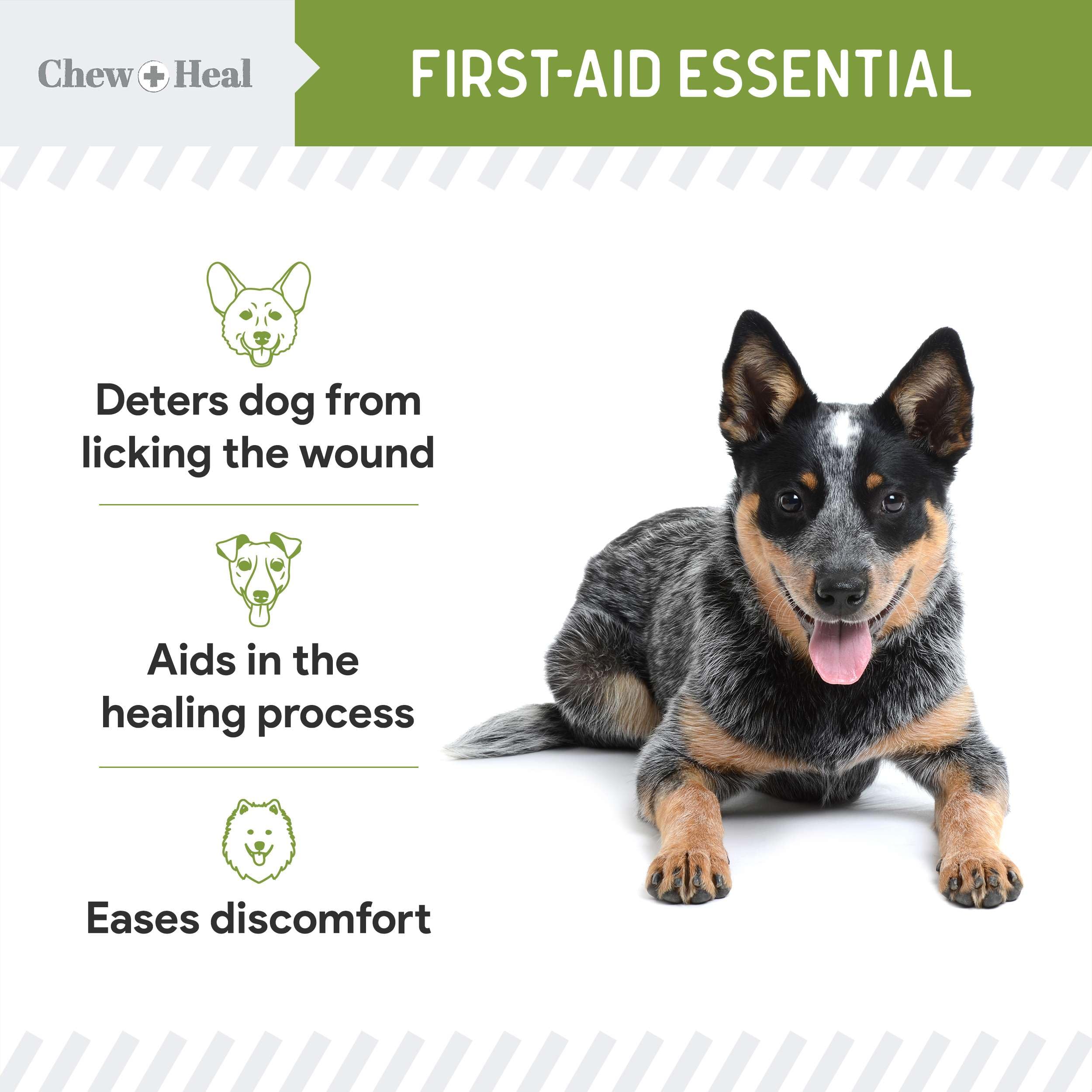 Chew + Heal Labs fast-drying dog wound spray forms a protective layer.