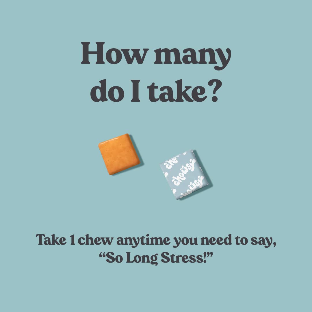 Chewsy So Long Stress label highlights L-theanine and magnesium blend.