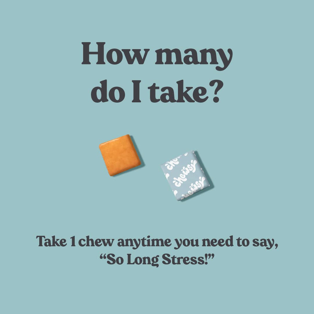 Chewsy So Long Stress label highlights L-theanine and magnesium blend.