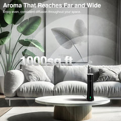 CHHZTEC five‑oil bundle included for varied room moods.