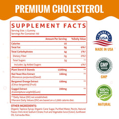 ChiQwench mixed berry cholesterol gummies offering convenient daily support.