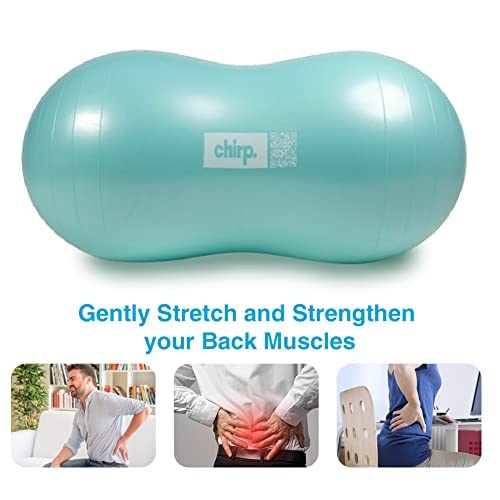 Chirp Cloud Pregnancy ball for labor prep and comfort