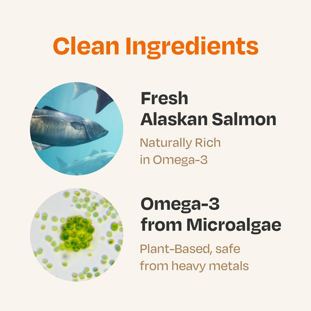 Chogong Easy Care Omega-3 packaging on shelf highlighting salmon flavor.
