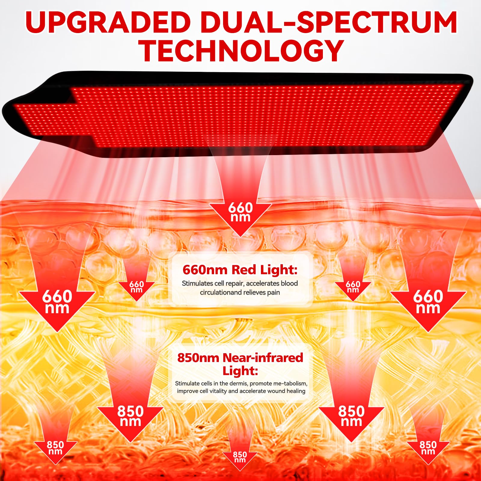 Cholas 1,443 LEDs provide dense coverage across the full body area