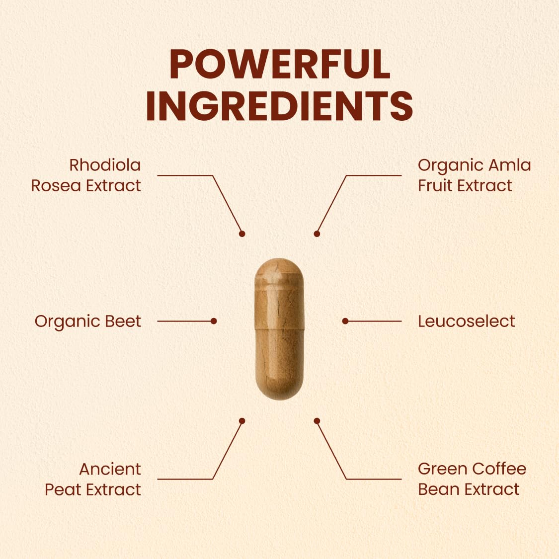 CHOQ Action 2.0 capsules closeup showing compact daily energy support
