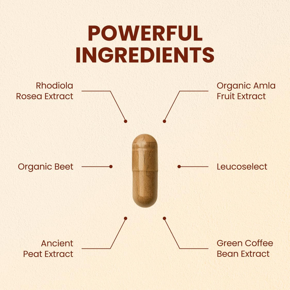 CHOQ Action 2.0 capsules closeup showing compact daily energy support