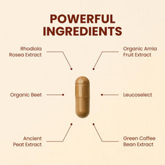 CHOQ Action 2.0 capsules closeup showing compact daily energy support