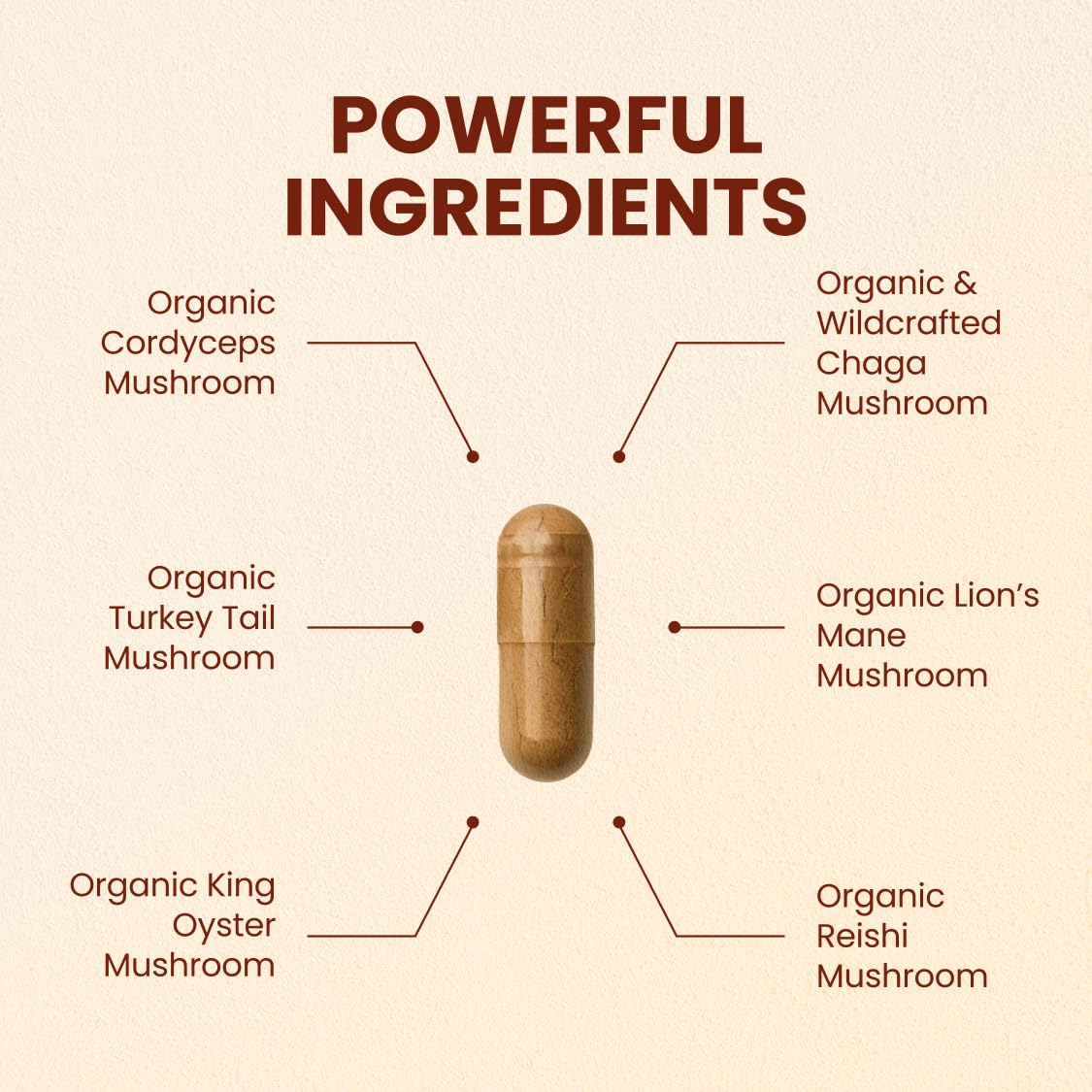 CHOQ Seven Wonders capsules close-up highlights vegan capsules and premium organic ingredients.