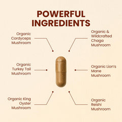 CHOQ Seven Wonders capsules close-up highlights vegan capsules and premium organic ingredients.