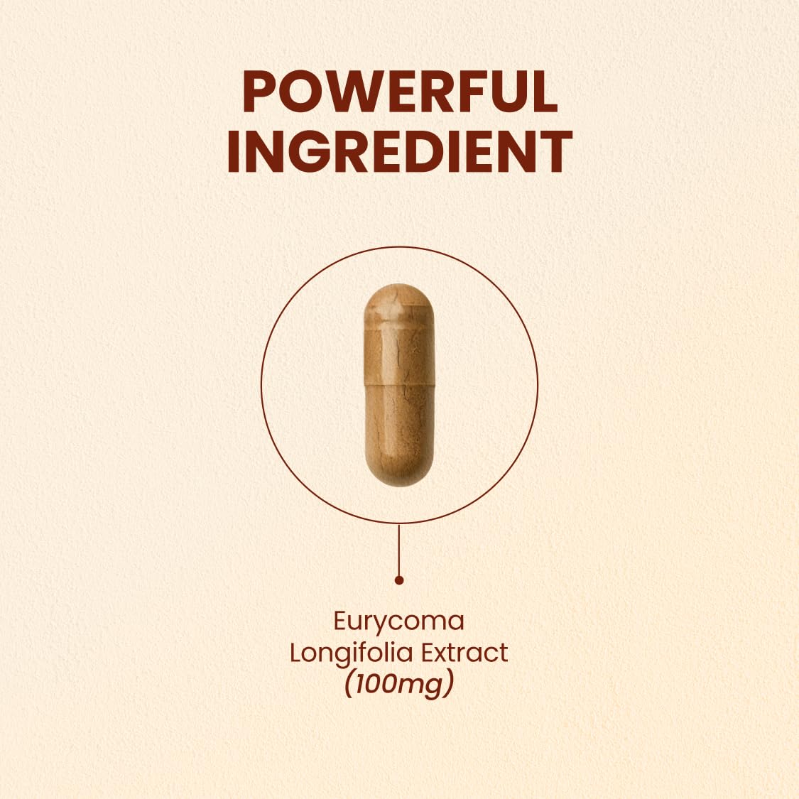Close-up of CHOQ Tongkat Ali capsules highlighting vegan formula for daily wellness.