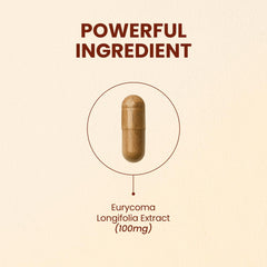 Close-up of CHOQ Tongkat Ali capsules highlighting vegan formula for daily wellness.
