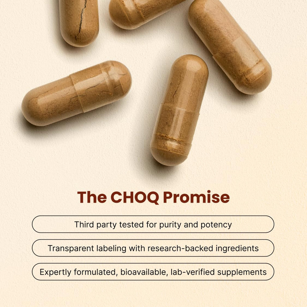 CHOQ Tongkat Ali 100mg label emphasizing 40% glycosaponins potency.