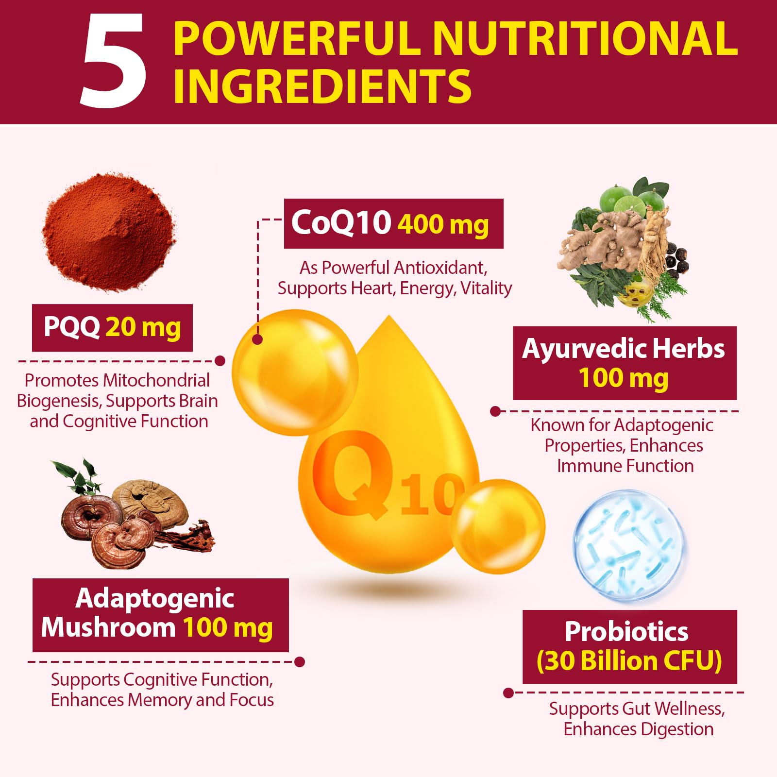 Ciaceae CoQ10 Gummies adaptogenic mushroom blend with Reishi and Lion's Mane for focus.