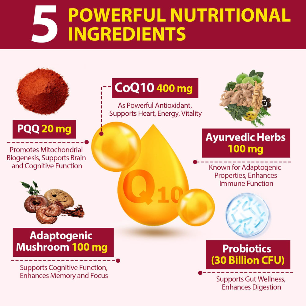Ciaceae CoQ10 Gummies adaptogenic mushroom blend with Reishi and Lion's Mane for focus.