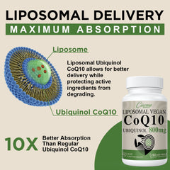 Ciaceae Liposomal CoQ10 dosage illustration showing daily intake guidance for users