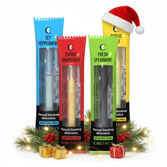 Cigtrus quit smoking inhaler front view showing compact design for discreet use