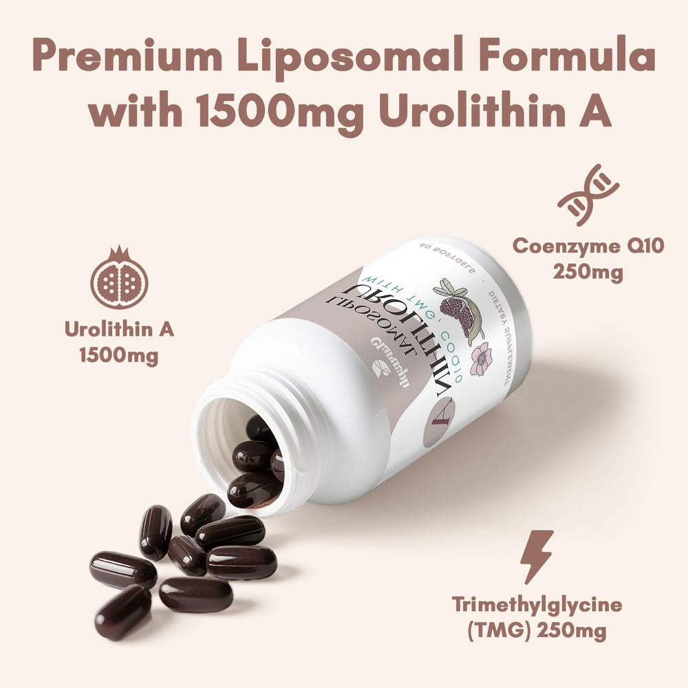 Clarusph Urolithin A daily routine scene for on-the-go energy