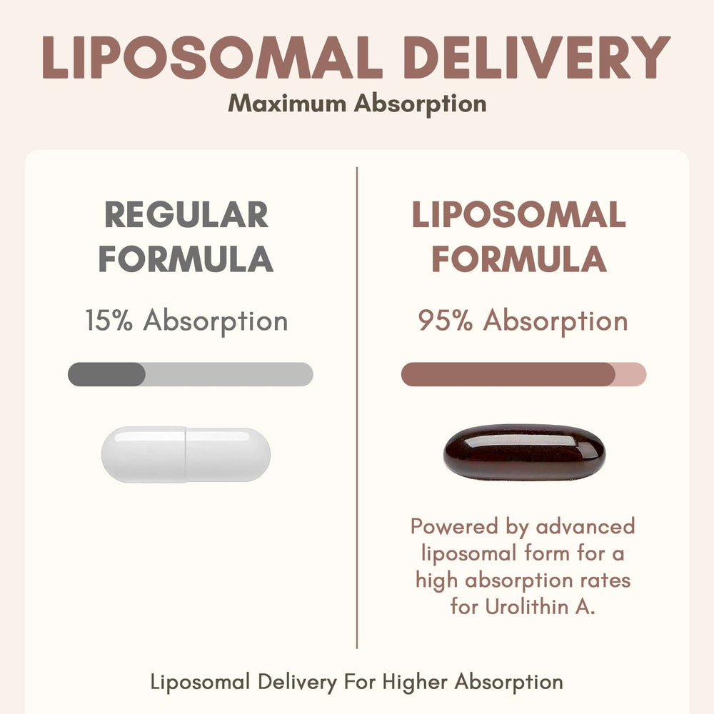 Clarusph Urolithin A softgels close-up of liposomal capsules