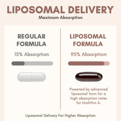 Clarusph Urolithin A softgels close-up of liposomal capsules