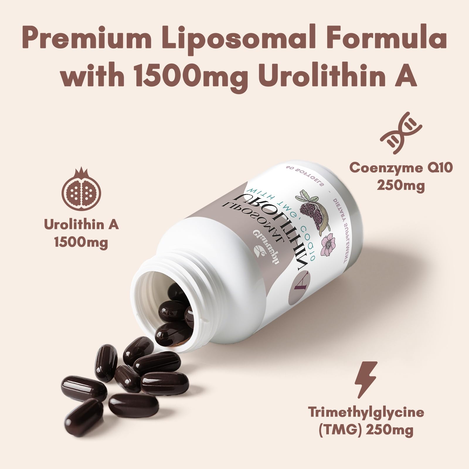 Clarusph Urolithin A bottle on a clean surface for everyday wellness.