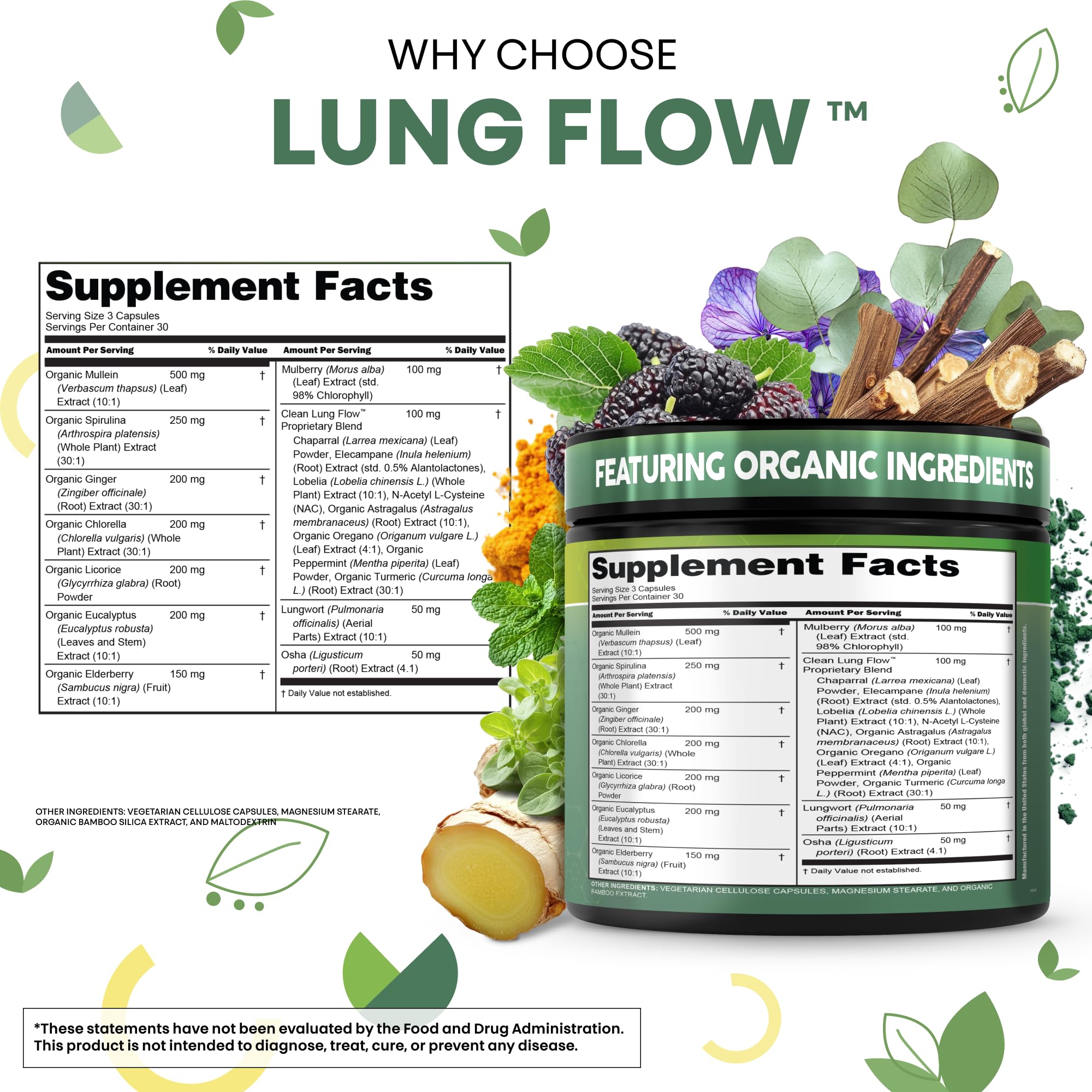 Clean Nutra chlorophyll greens shot signaling plant based detox support