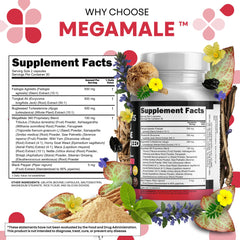 Clean Nutraceuticals 16-in-1 ingredients spread highlighting comprehensive blend