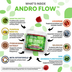 AndroFlow ingredients chart featuring lycopene and zinc for nutritional support