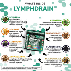 Clean Nutraceuticals burdock root capsules highlighting herbal lymphatic balance