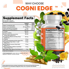 Clean Nutraceuticals Ginkgo Biloba extract bottle highlighting cognitive clarity.
