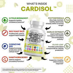 Clean Nutraceuticals plant sterols on label emphasize plant-based nutrition