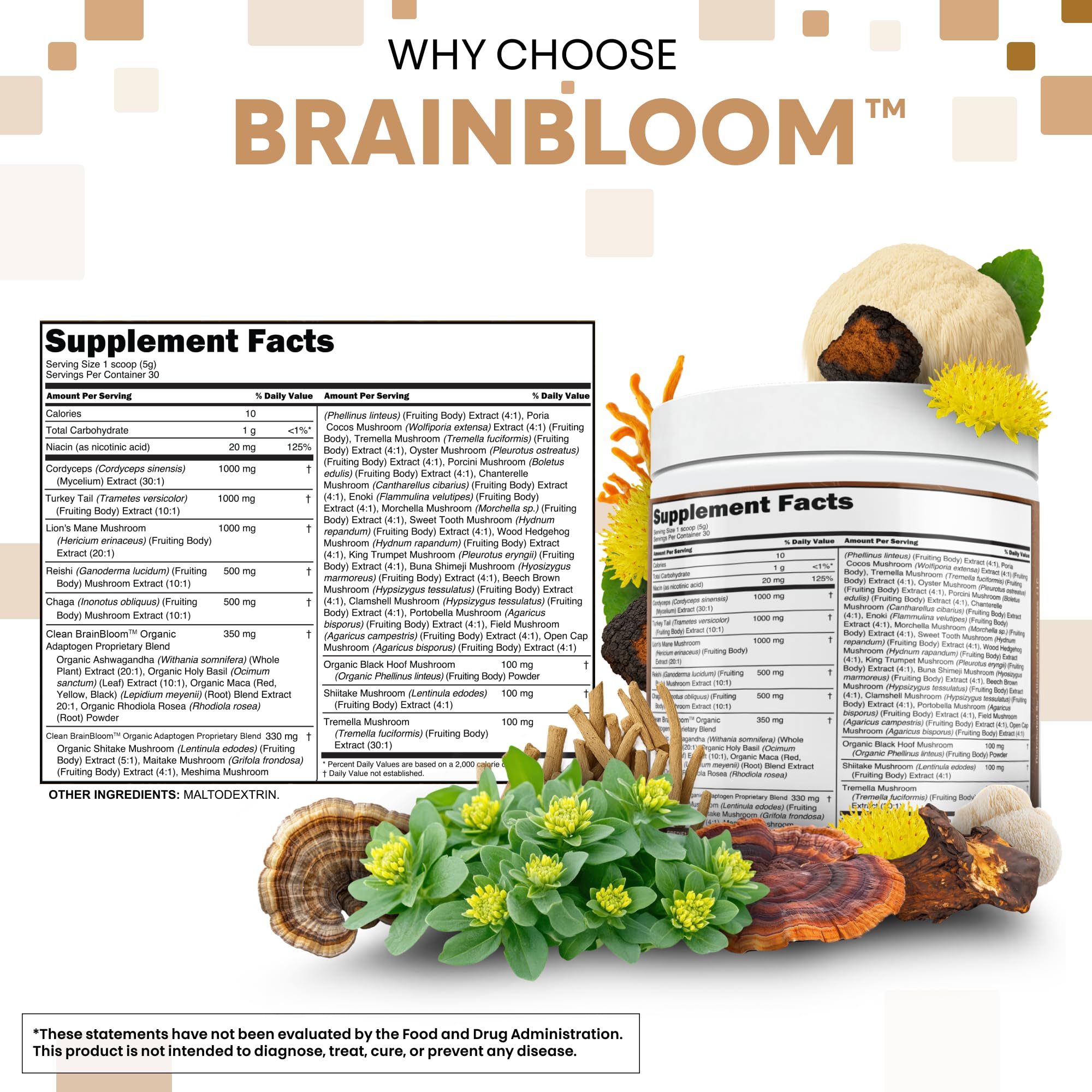 Clean Nutraceuticals lion mane turkey tail jar promotes focused mornings.