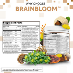 Clean Nutraceuticals lion mane turkey tail jar promotes focused mornings.