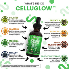 Clean Nutra Moringa Liquid Drops bottle showcasing adaptogens for balanced daily wellness