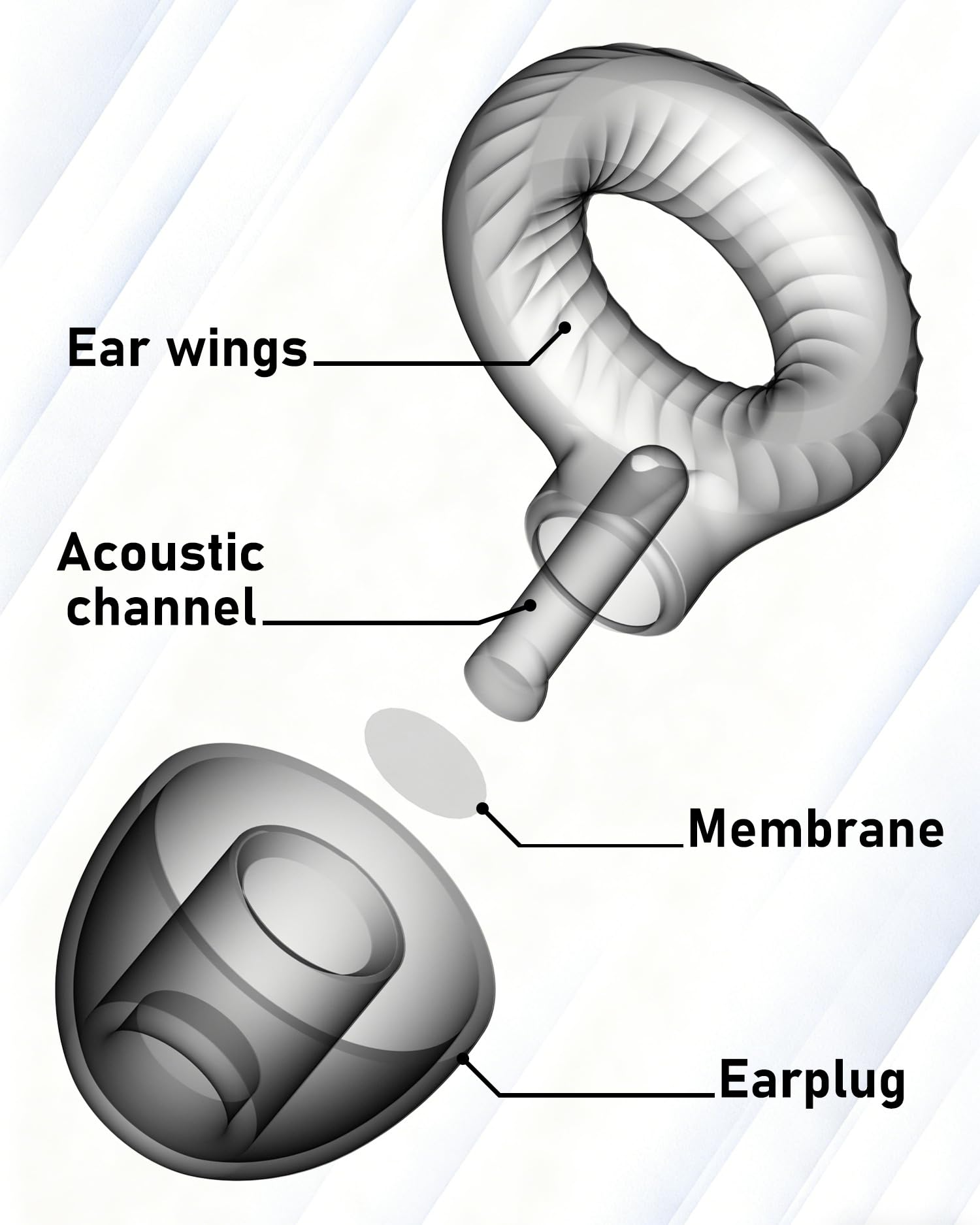 Clicar ear plugs eight tips and carry case setup for travel.