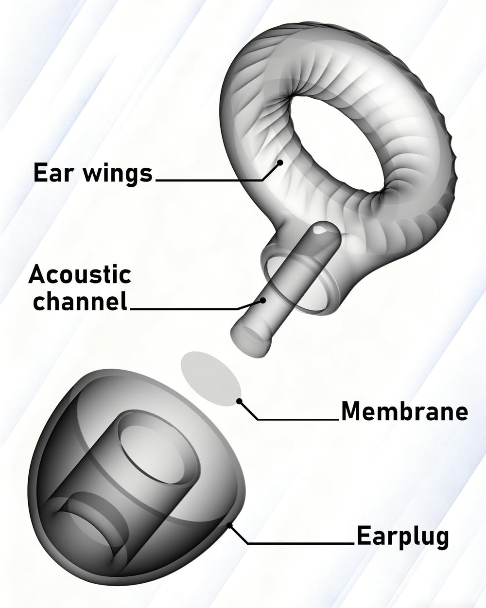 Clicar ear plugs eight tips and carry case setup for travel.