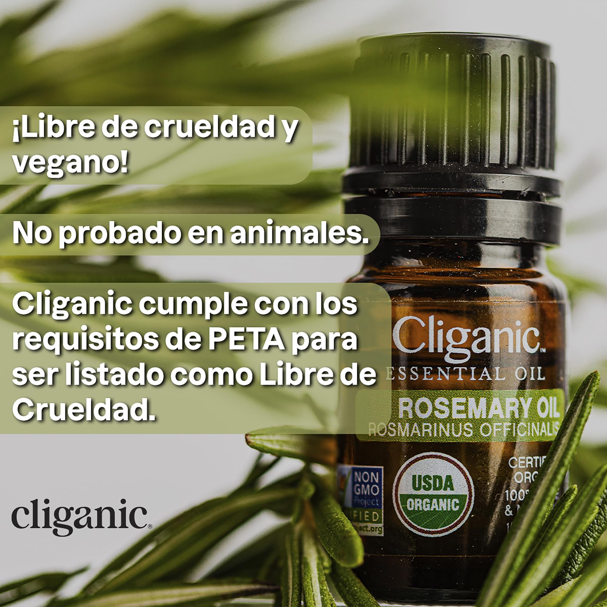 Cliganic Aceite Esencial de Canela en gotero, ideal para mezclar con portadores.