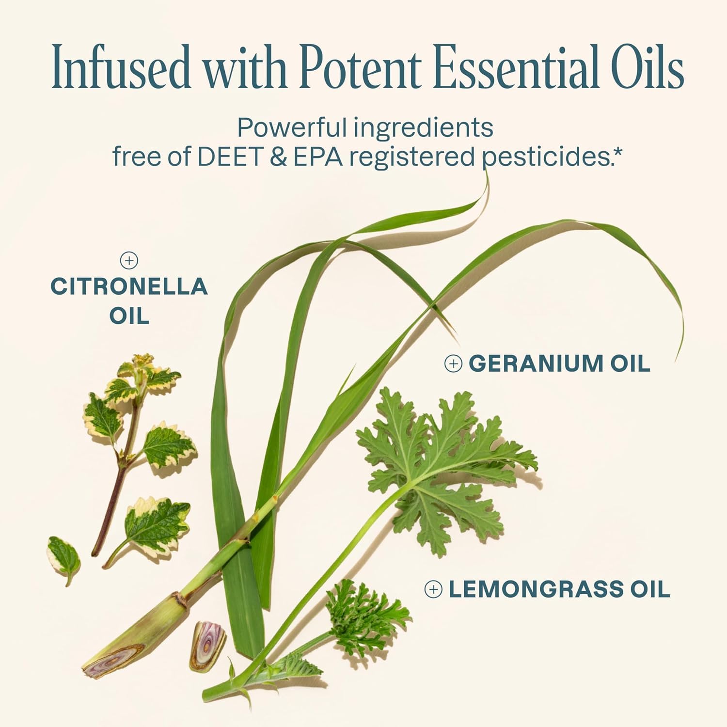 Outdoor-ready Cliganic bracelets ideal for parks, hikes, and camping.