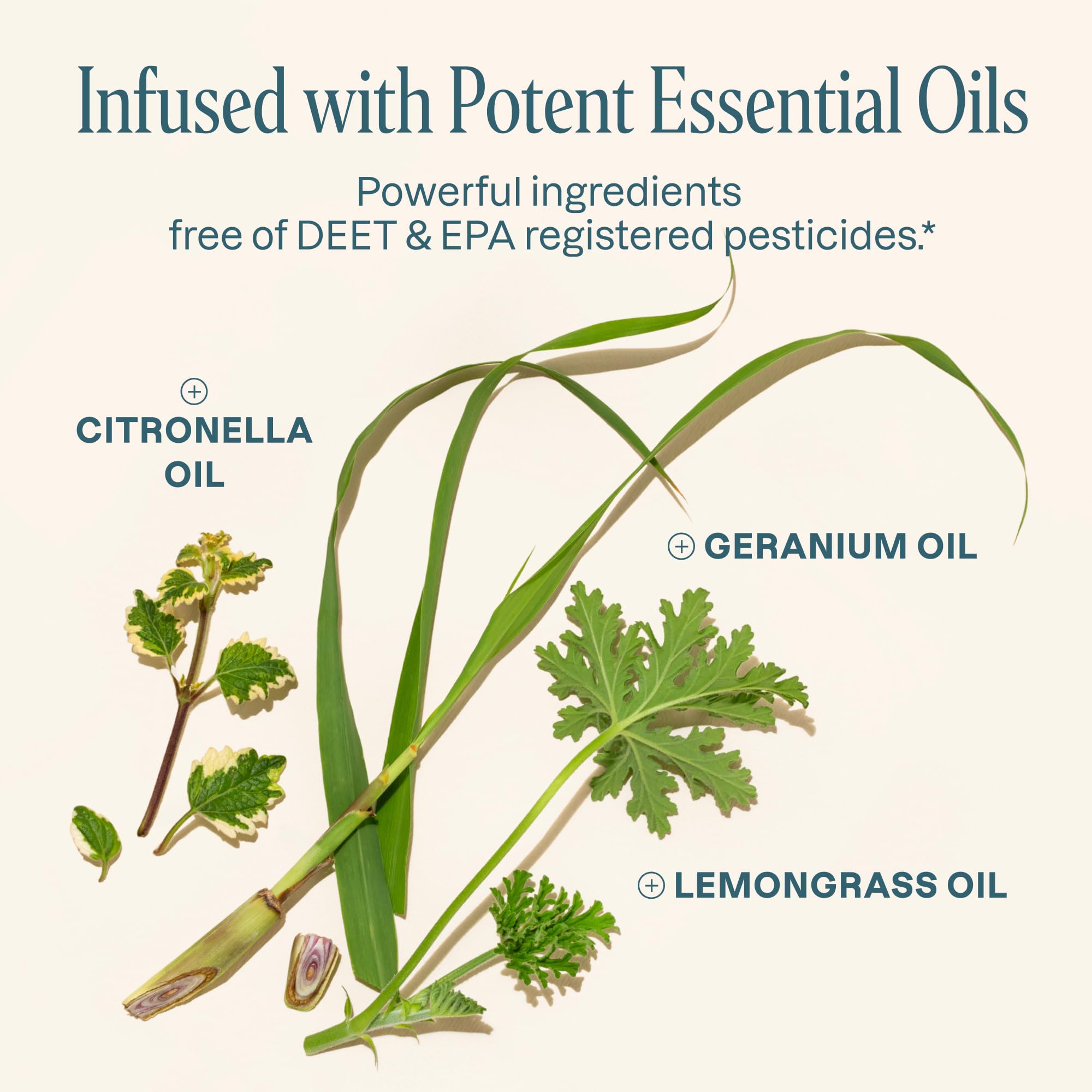 Cliganic outdoor use bracelets for parks, hikes, and camping.