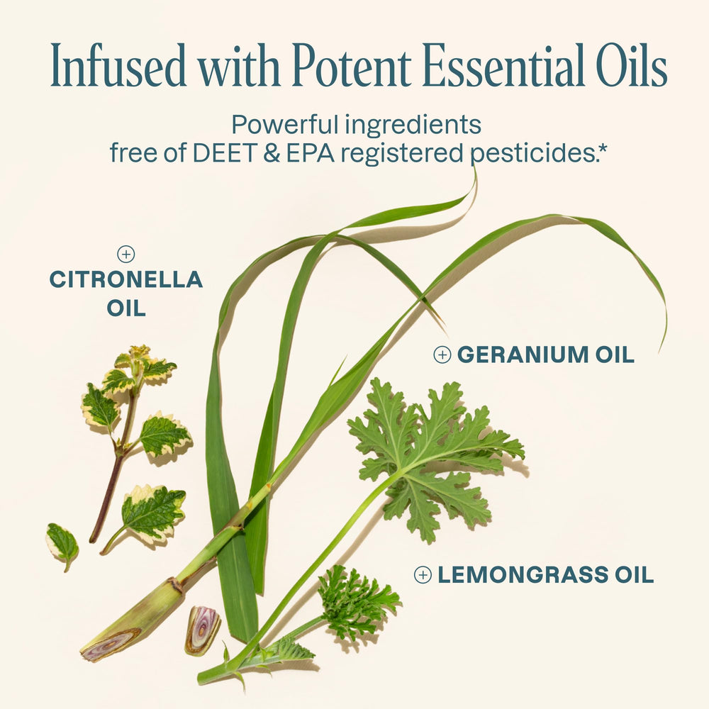 Cliganic outdoor use bracelets for parks, hikes, and camping.