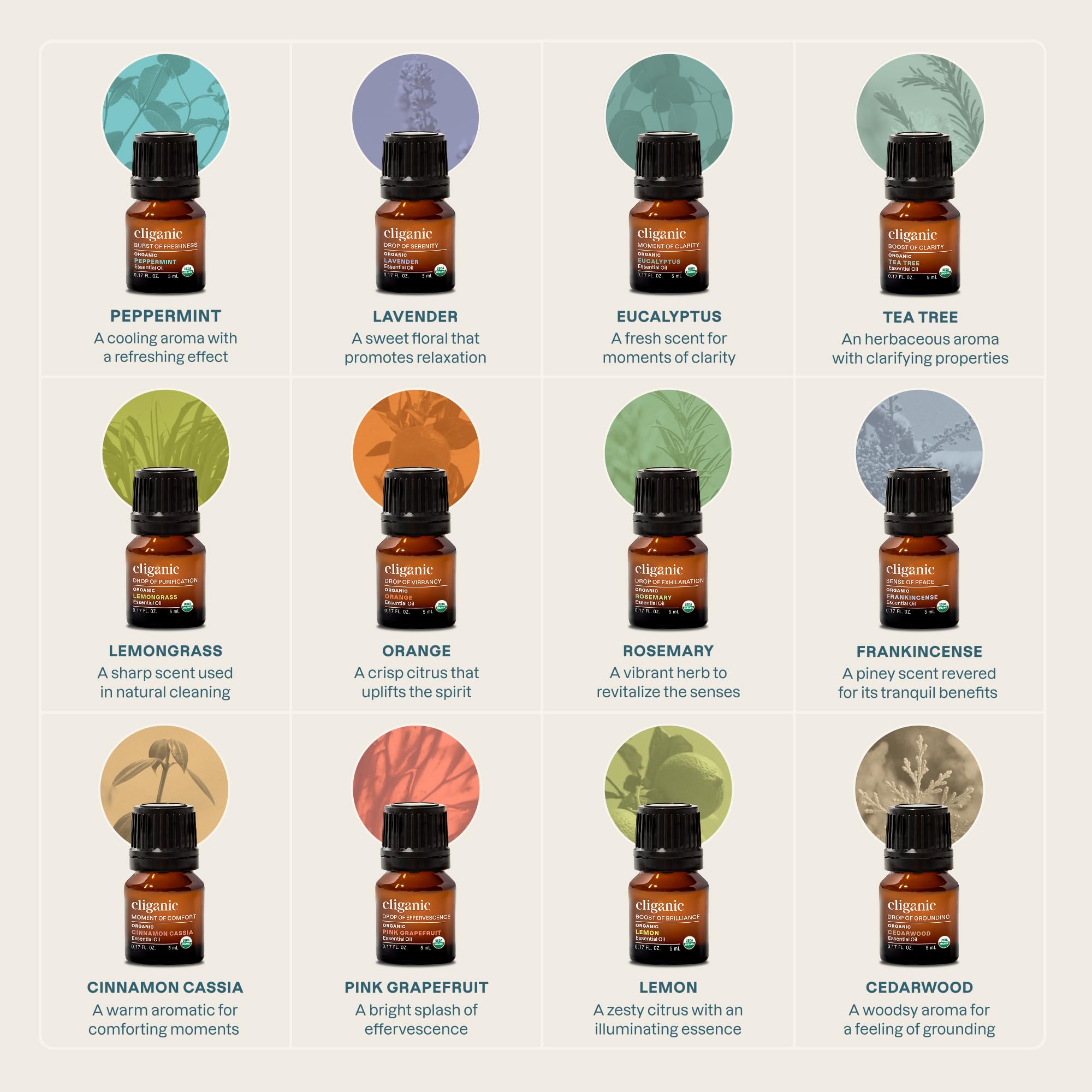Cliganic tea tree essential oil bottle for purifying spaces and natural care.