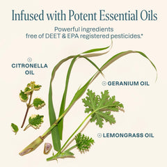 Cliganic waterproof EVA bracelets for park visits and stroller walks.